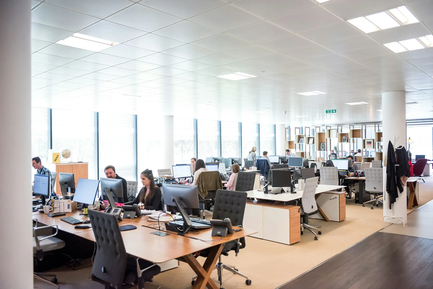 Employees working at desks in a bright open-plan office